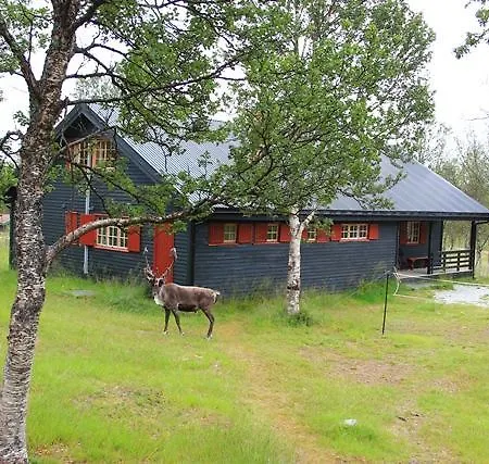 Domek alpejski Polar Cabin *